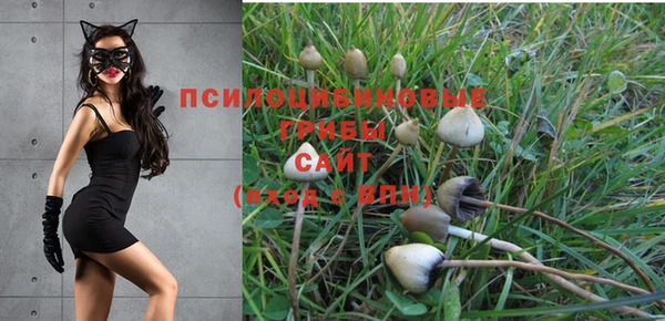 гашиш Алзамай