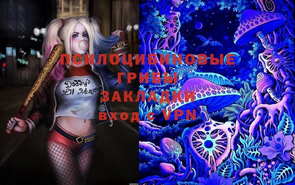 амф Алексеевка