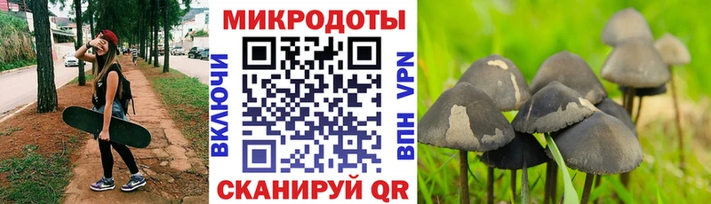 blacksprut ТОР  Нижний Новгород  Галлюциногенные грибы мицелий 